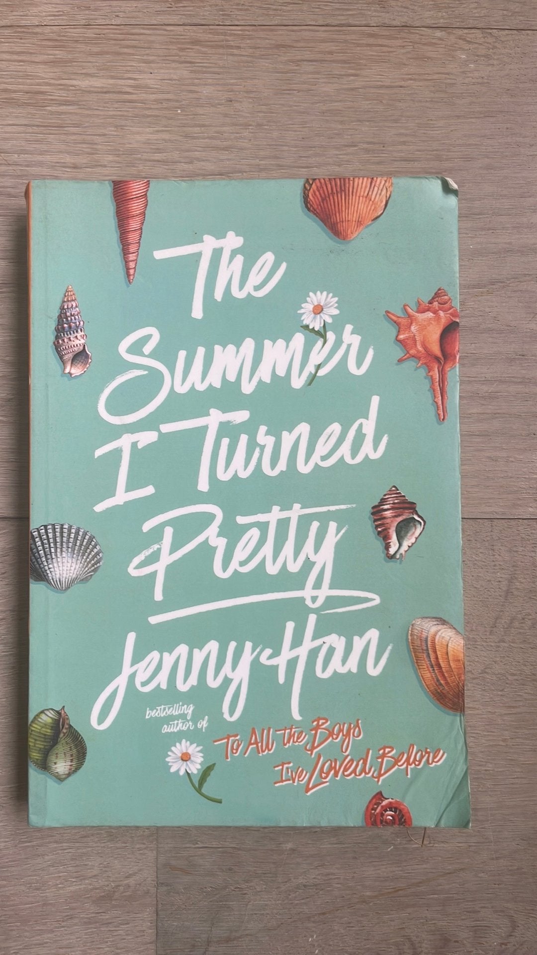 Jenny Han - The Summer I Turned Pretty, Boeken, Chicklit, Ophalen of Verzenden, Zo goed als nieuw, Jenny Han