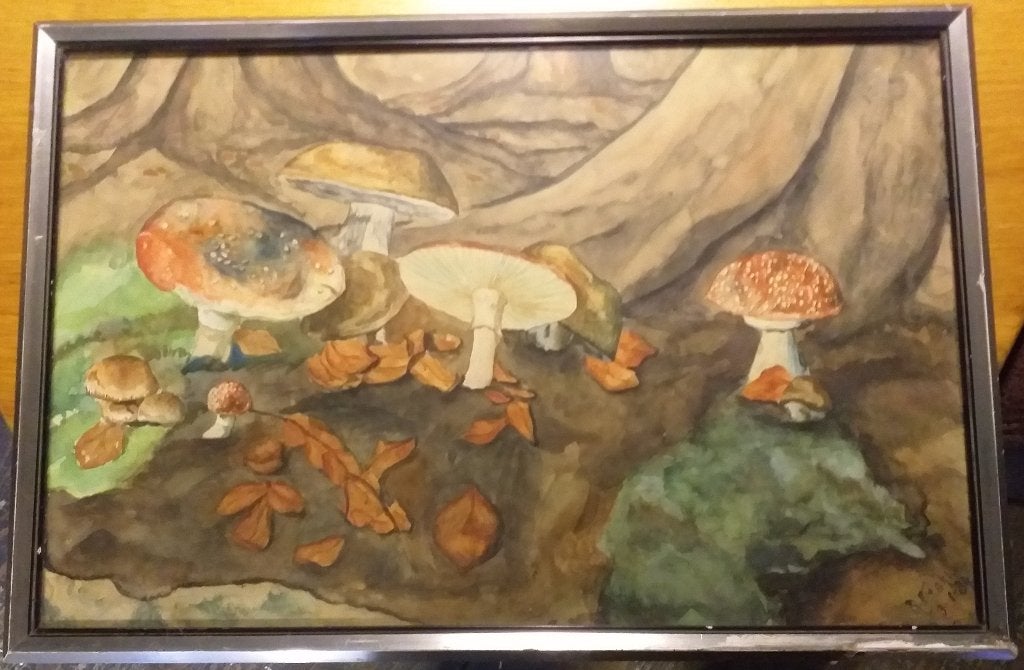 Aquarel paddenstoelen achter glas. 1934, Antiek en Kunst, Overige ondergronden, Stilleven, Ophalen of Verzenden, Achter glas