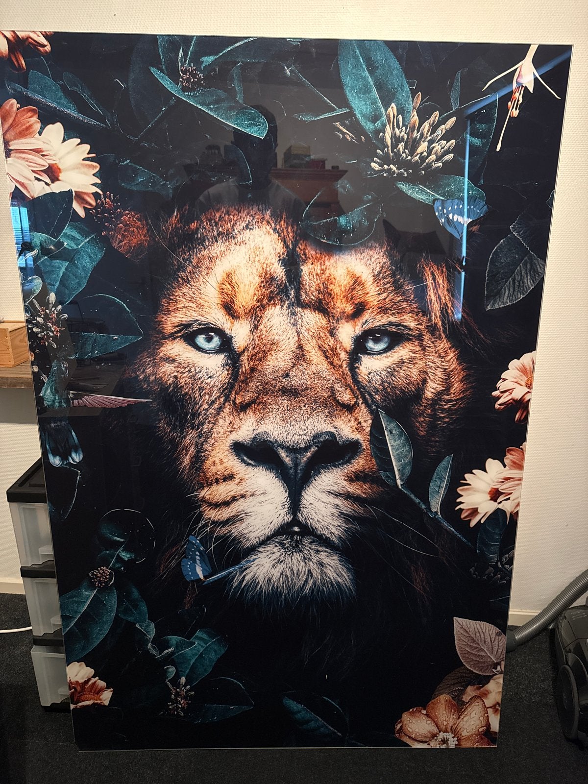 Prachtige Leeuwenprint op Plexiglas - Levendige Kleuren, Ophalen, Gebruikt, Print, 75 tot 100 cm
