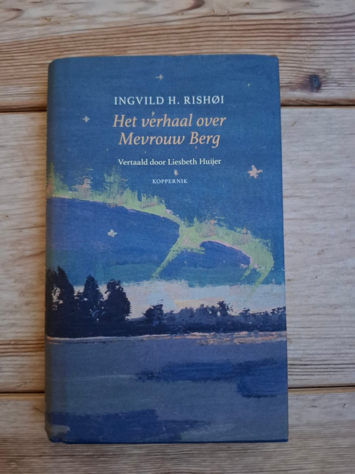 Ingvild H. Rishøi - Het verhaal over Mevrouw Berg, Boeken, Ophalen of Verzenden, Zo goed als nieuw, Ingvild H. Rishøi