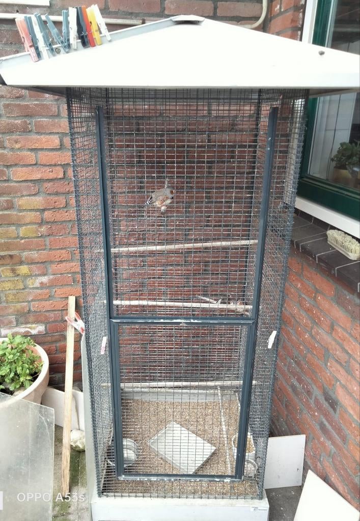 Zebravinkjes, Dieren en Toebehoren, Ophalen, Gebruikt, Metaal, Vogelkooi