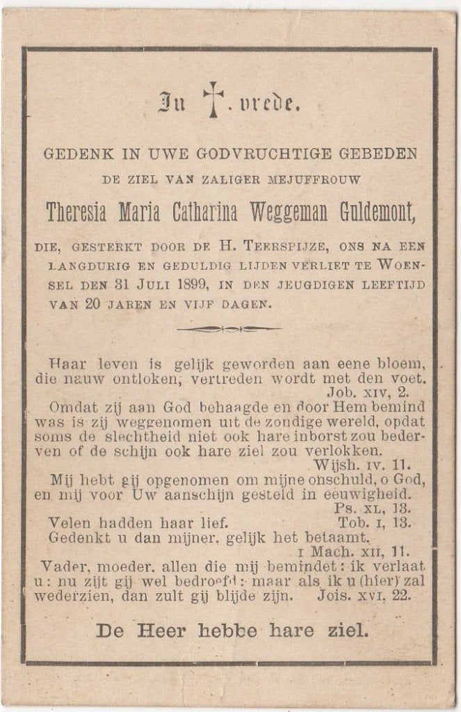 Theresia M.C. Guldemont 1877 - 1899 Woensel, 20 jaar oud, Verzenden