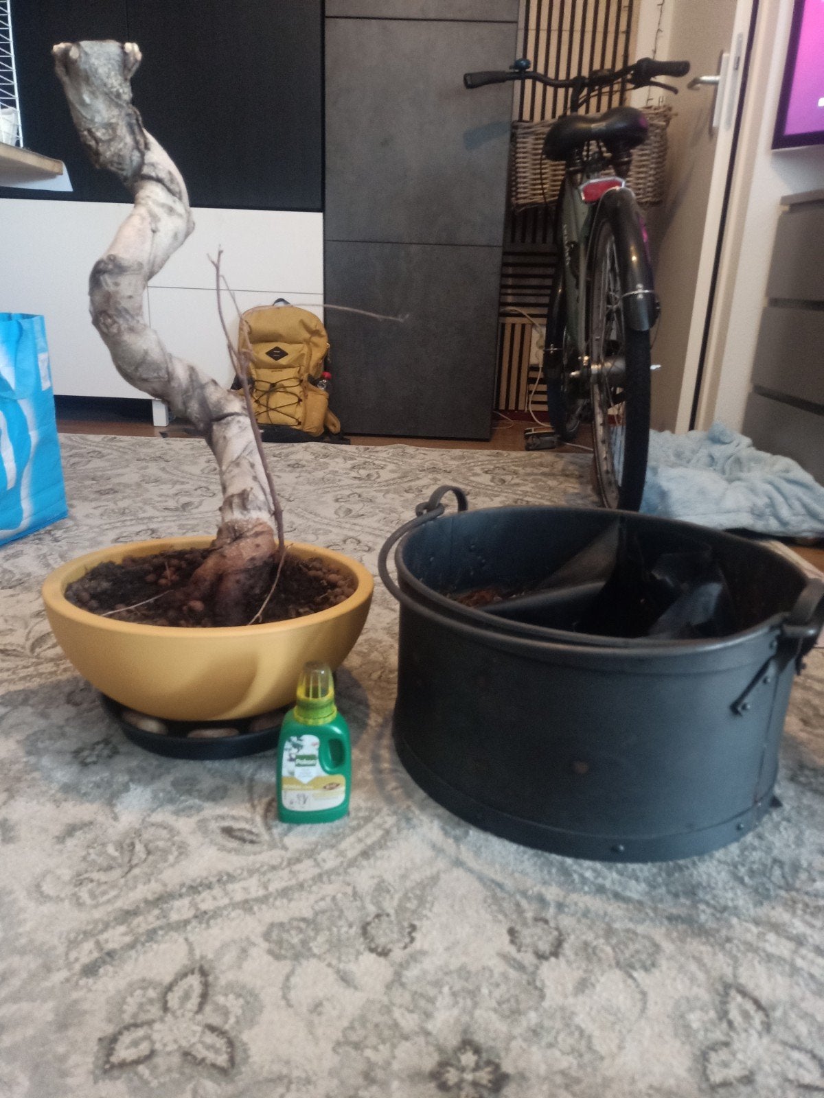 Bonsai, Tuin en Terras, Bloempotten, Ophalen, Nieuw, Aardewerk, Minder dan 40 cm