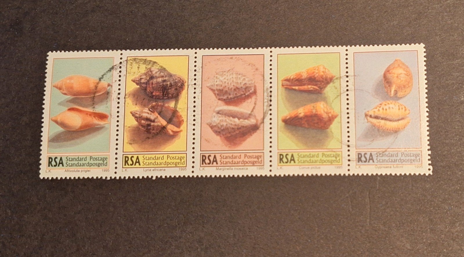 1995 ZUID-AFRIKA  - SERIE SCHELPEN, Ophalen of Verzenden, Zuid-Afrika, Gestempeld