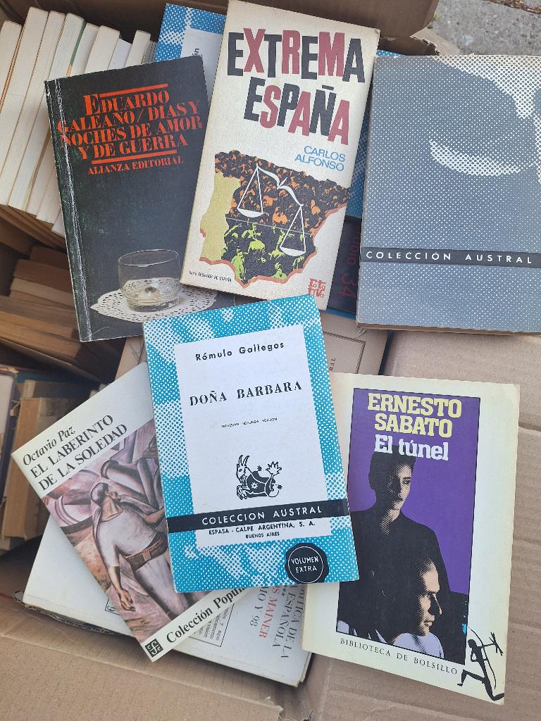 Spaanse boeken, Ophalen, Zo goed als nieuw, Diverse auteurs