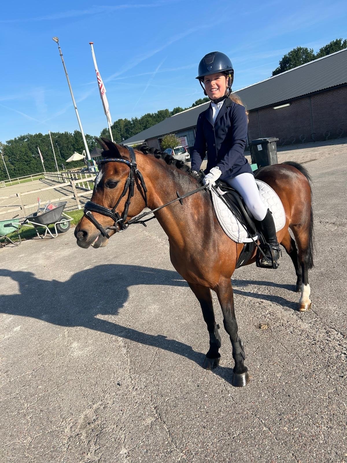 Kinder sport B-pony, Dieren en Toebehoren, Pony's, Merrie, L, B pony (1.17m tot 1.27m), Springpony, 11 jaar of ouder, Met stamboom