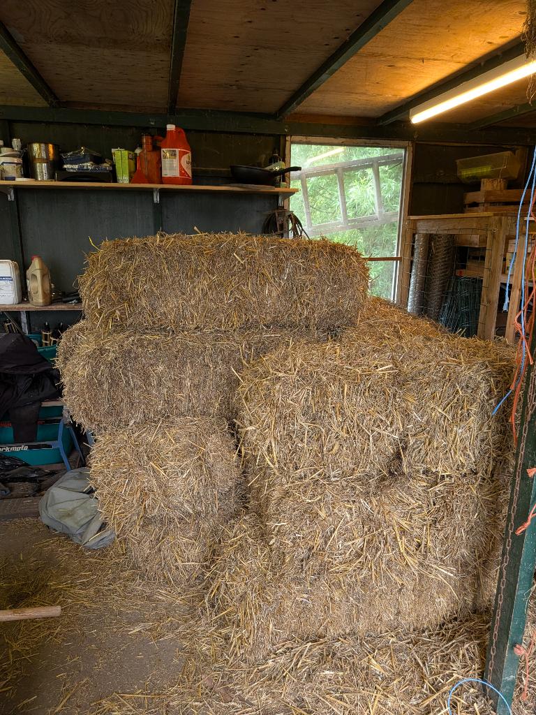 Volle kleine stro baaltje (10 stuks), Dieren en Toebehoren, Dierenvoeding, Ophalen, Vee