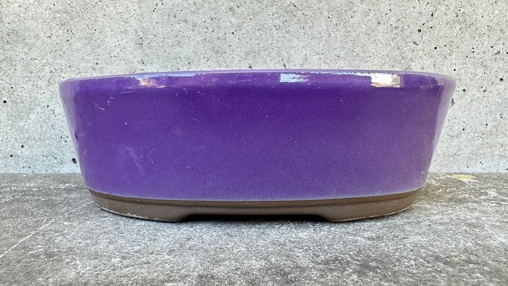 Japan | Bonsai schaal pot 15x11x5cm (5*), Ophalen of Verzenden, Zo goed als nieuw, Overige vormen, Aardewerk