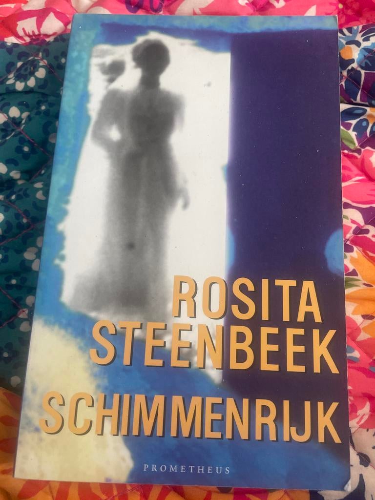 Rosita Steenbeek - Schimmenrijk (Roman), Boeken, Ophalen of Verzenden, Zo goed als nieuw, Nederland