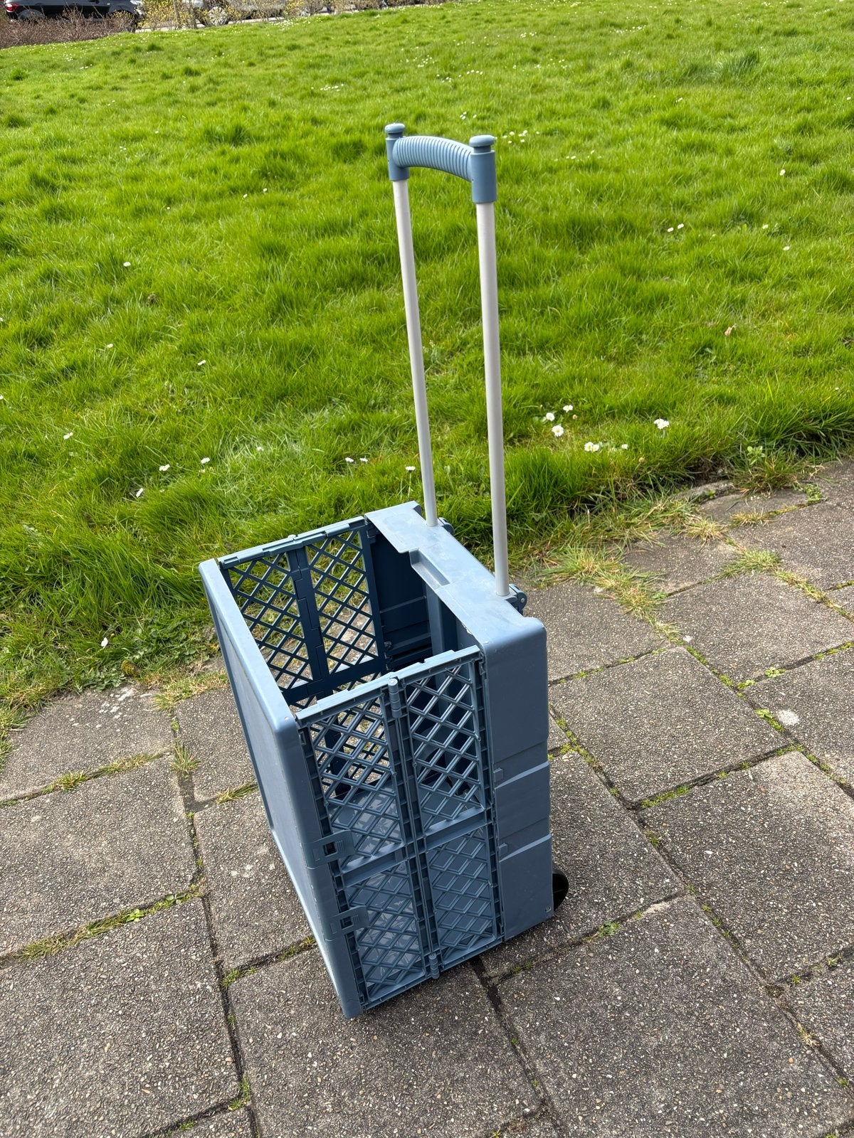 Boodschappenwagentje, Ophalen of Verzenden