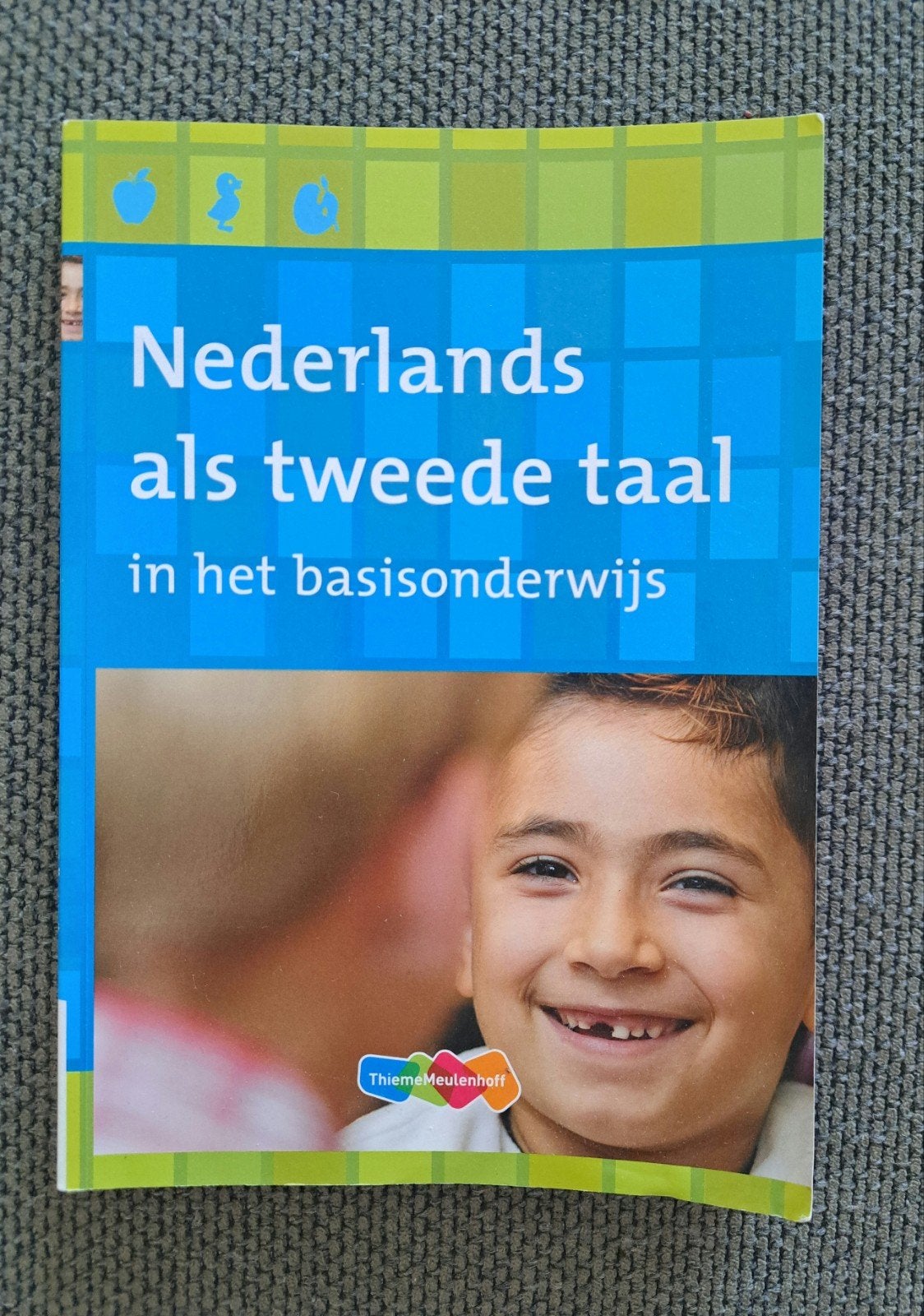 Nederlands als tweede taal in het basisonderwijs, Boeken, Studieboeken en Cursussen, Gelezen, Folkert Kuiken, Anne Vermeer, Gamma