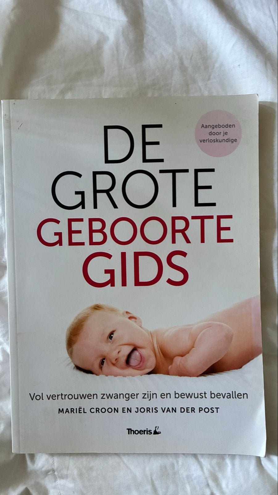 De Grote Geboorte Gids - Zwangerschap en Bevalling, Ophalen of Verzenden, Gelezen, Zwangerschap en Bevalling
