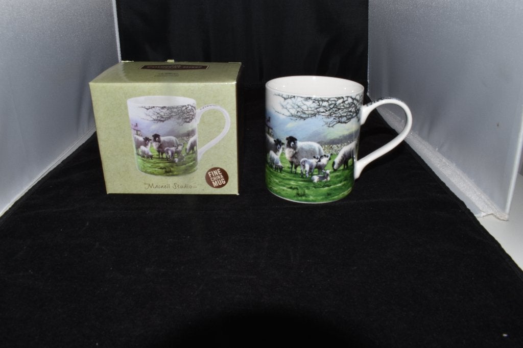 Mok Schapen, Overige materialen, Info@dcetagrijn.com, Rijksweg 24, 6996AC Drempt, Overige merken