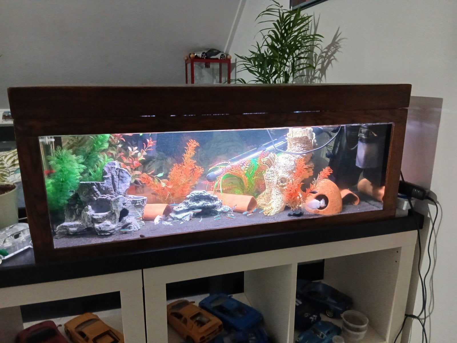 mooi compleet aquarium, Ophalen of Verzenden, Gevuld zoetwateraquarium