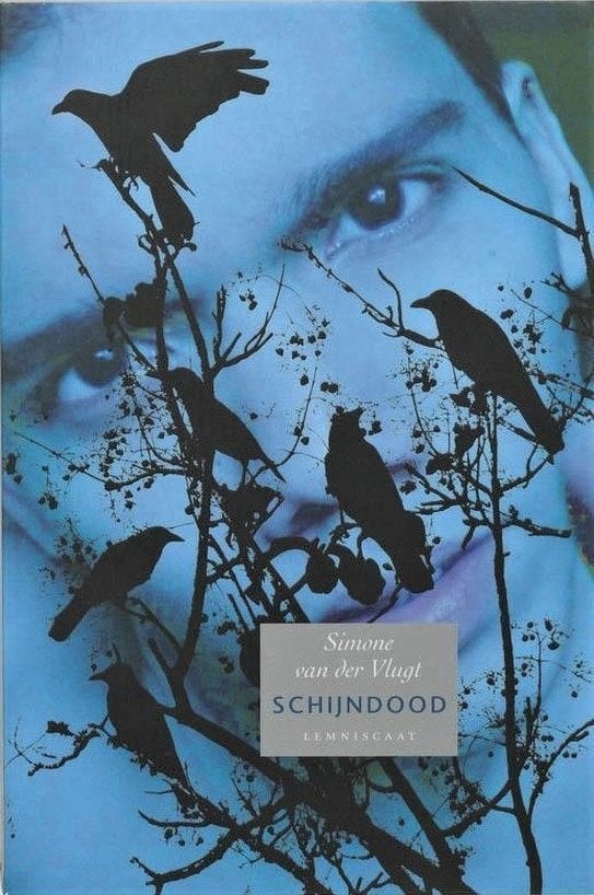 SCHIJNDOOD - Historische roman van SIMONE VAN DER VLUGT, Ophalen of Verzenden, Zo goed als nieuw