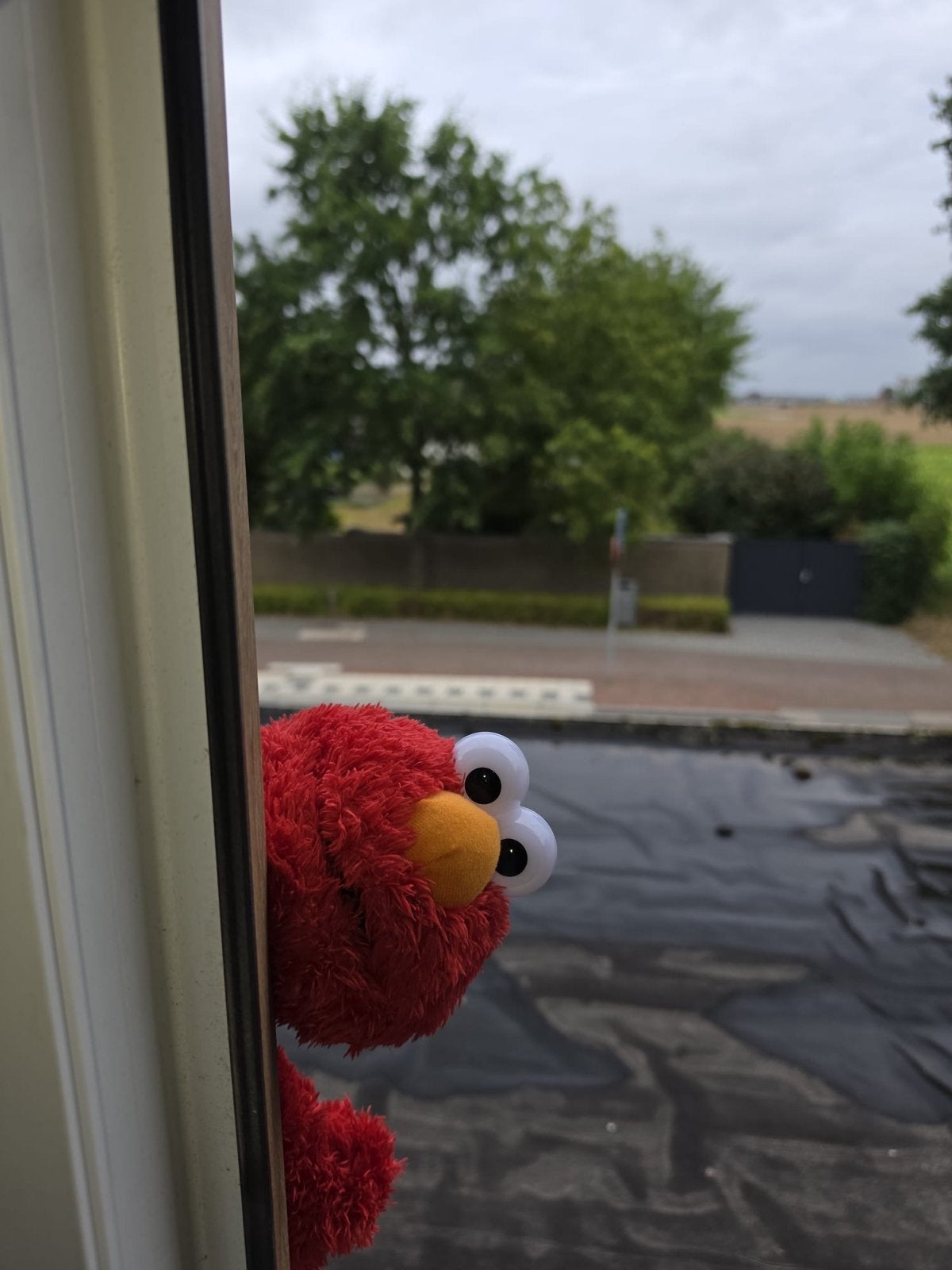 Elmo knuffel van Sesamstraat 38cm, Overige merken, Overige karakters, Overige typen, Ophalen of Verzenden