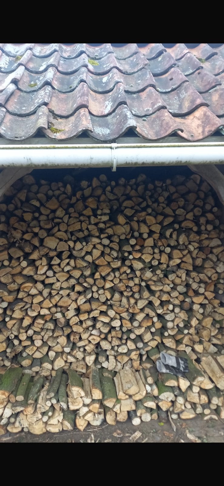 Brandhout haardhout, 6 m³ of meer, Ophalen, Eikenhout, Blokken