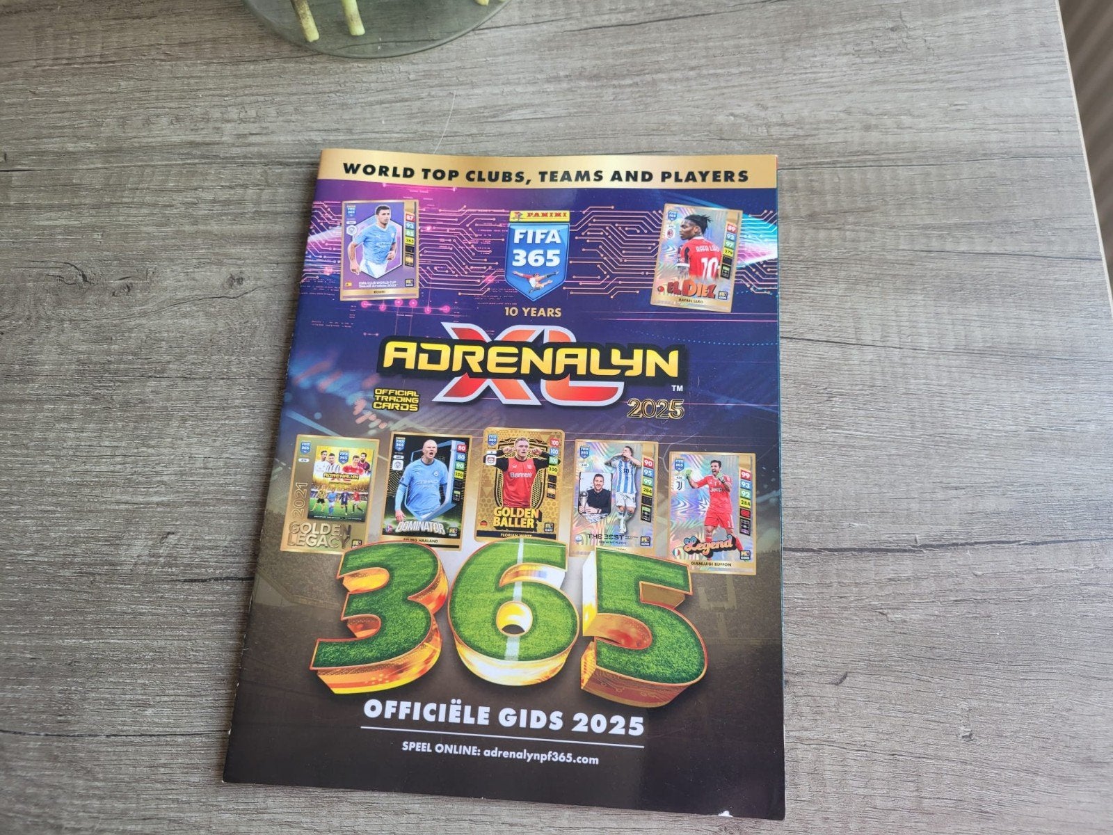 Voetbal panini kaarten, Ophalen of Verzenden, Zo goed als nieuw, Meerdere kaarten