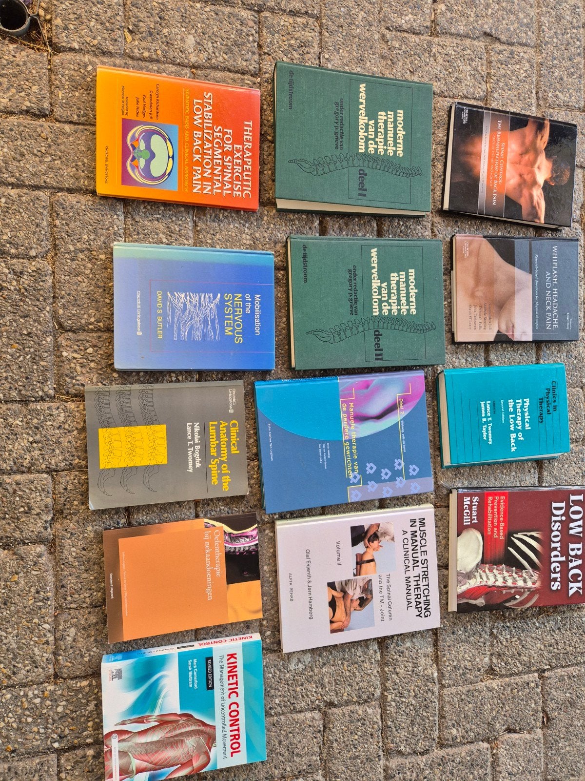 Diverse boeken over fysiotherapie en manuele therapie, Boeken, Studieboeken en Cursussen, Gelezen, HBO, Ophalen of Verzenden, Beta