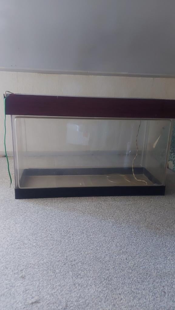 Aquarium  c.q  Terrarium  met lichtbak, Ophalen of Verzenden, Zo goed als nieuw, Leeg aquarium
