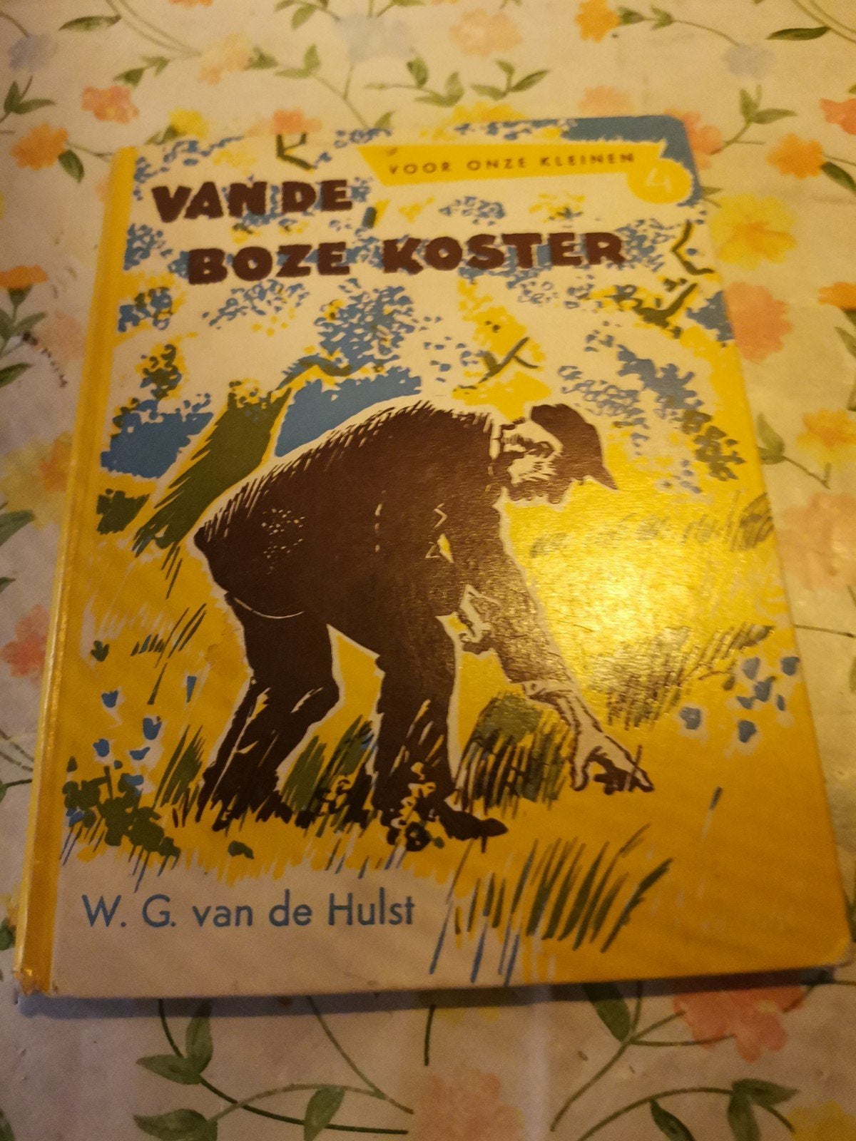 Van de Boze Koster - W.G. van de Hulst (kinderboek), Ophalen of Verzenden, Gelezen, W.G. van de Hulst, Fictie algemeen