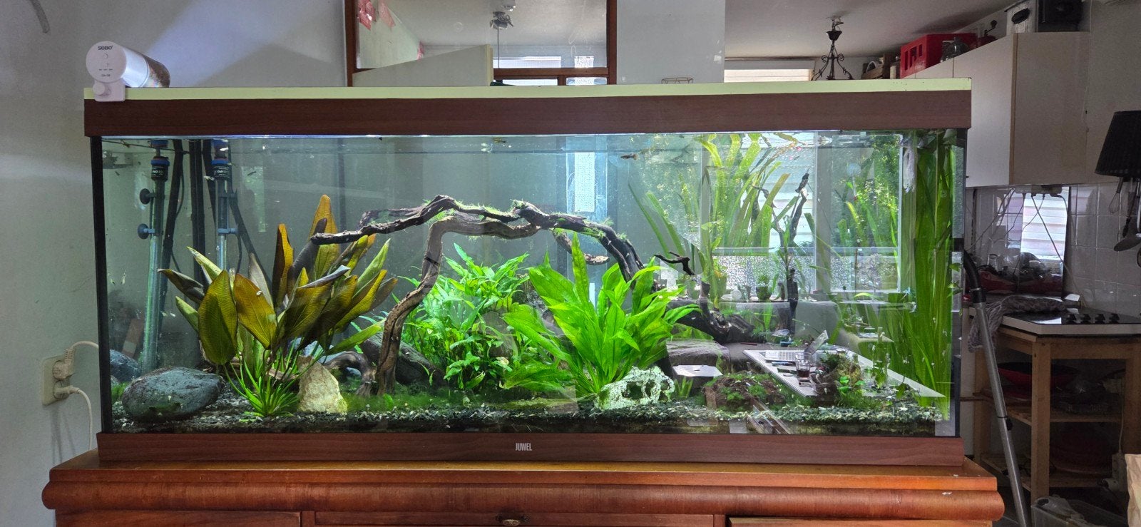 Compleet Juwel aquarium, Ophalen, Gebruikt, Gevuld zoetwateraquarium, Juwel