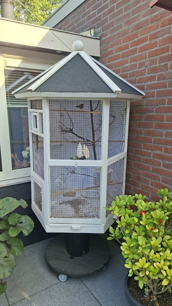 VOGEL VOLIERE  ZESHOEKIG, Ophalen, Zo goed als nieuw, Hout, Volière