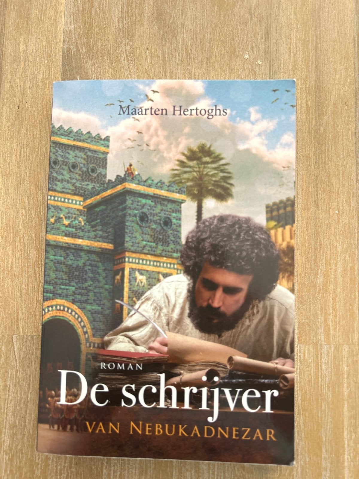 De schrijver van Nebukadnezar - Maarten Hertoghs, Ophalen of Verzenden, Zo goed als nieuw