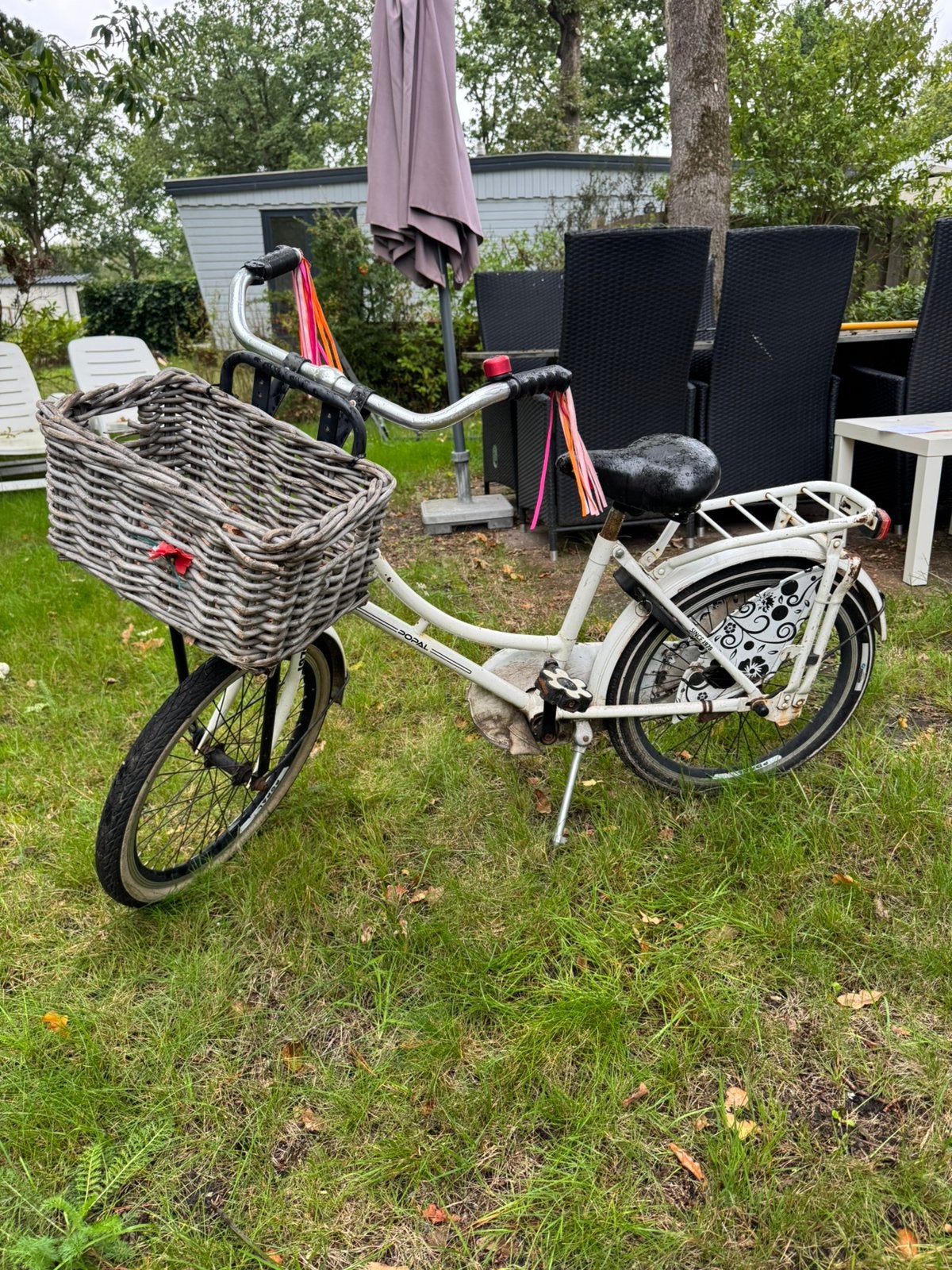 20 inch Popal meisjesfiets, Minder dan 47 cm, Ophalen, Gebruikt, Terugtraprem
