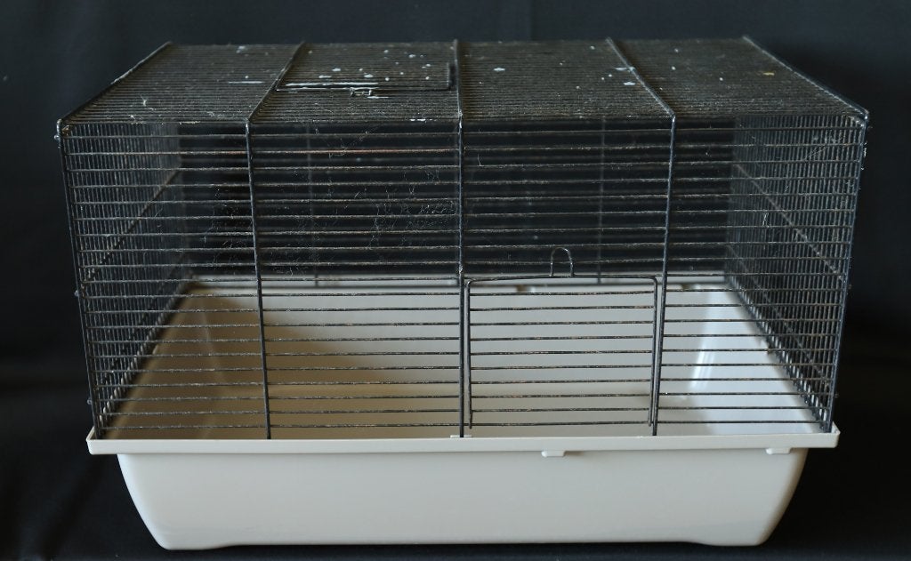 Knaagdierkooitje., Dieren en Toebehoren, Minder dan 60 cm, Kooi, Gebruikt, Minder dan 75 cm