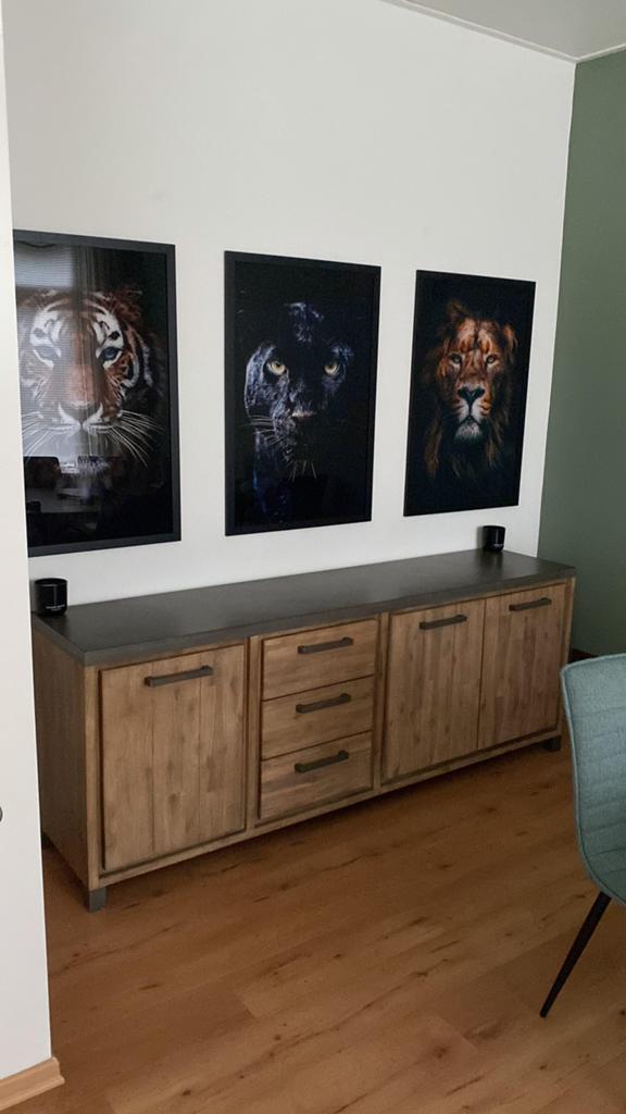 TV-meubel en dressoir te koop, Ophalen, Gebruikt, 25 tot 50 cm, 200 cm of meer