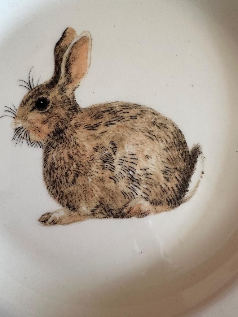 Emma Bridgewater baby animals, Huis en Inrichting, Keuken | Servies, Nieuw, Ophalen of Verzenden, Overige stijlen, Kop(pen) en/of Schotel(s)