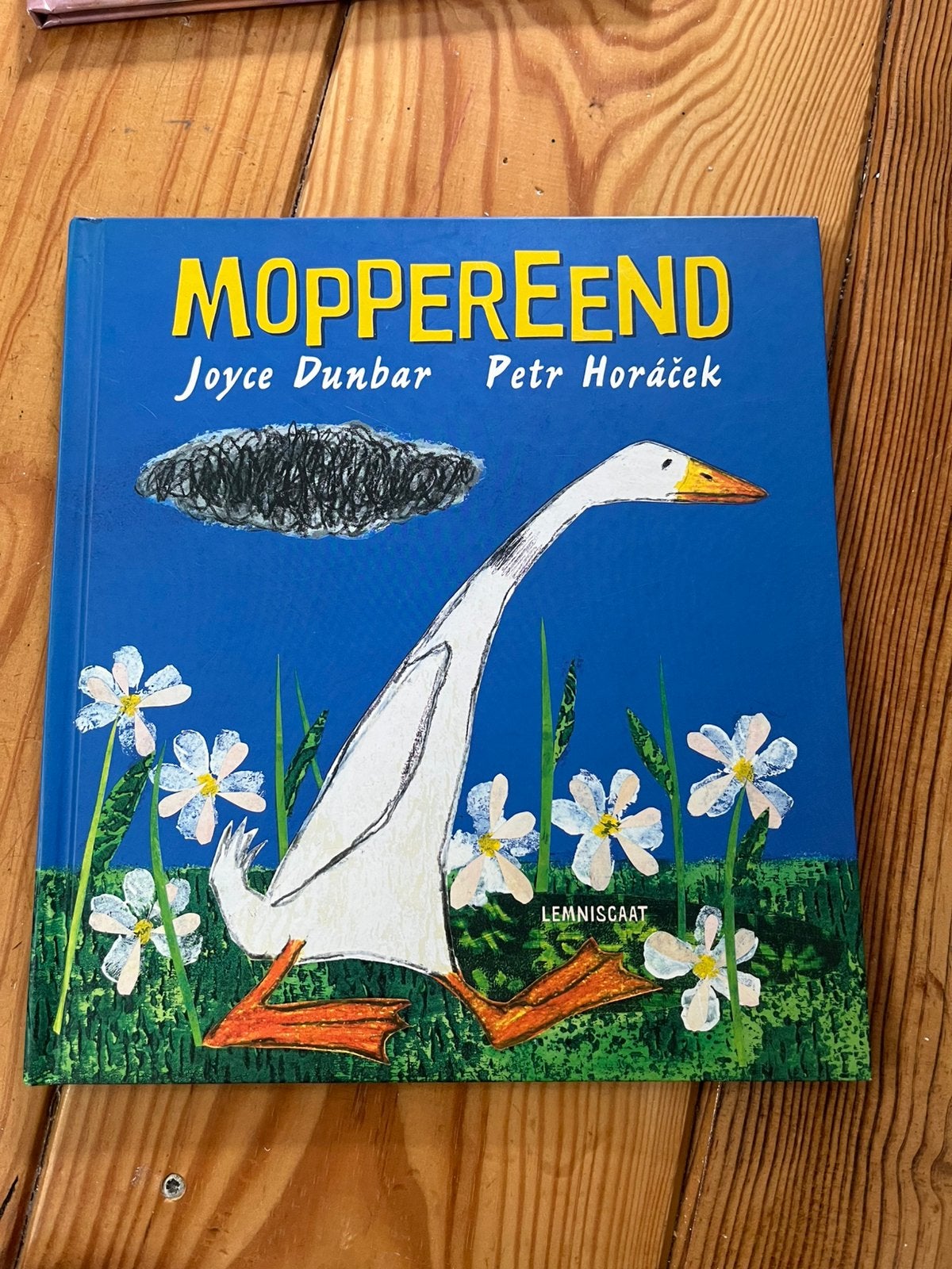 Moppereend - Joyce Dunbar en Petr Horáček, Boeken, Ophalen of Verzenden, Zo goed als nieuw