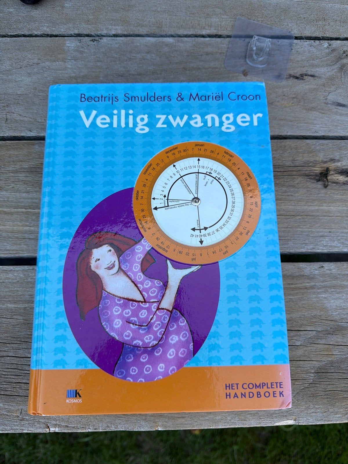 Veilig zwanger: Het complete handboek, Boeken, Ophalen of Verzenden, Gelezen, Zwangerschap en Bevalling