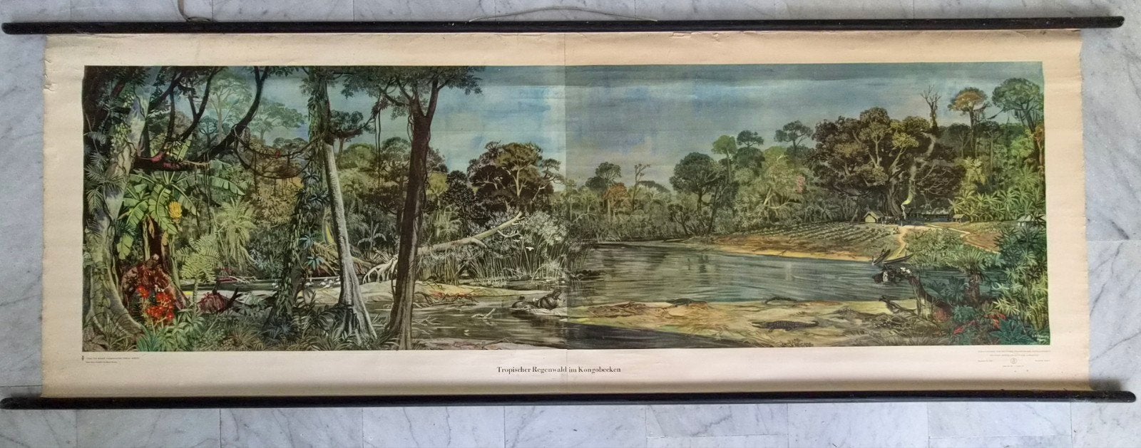 Vintage Schoolposter Tropisch Regenwoud Afrika 1964, Ophalen of Verzenden, Aardrijkskunde