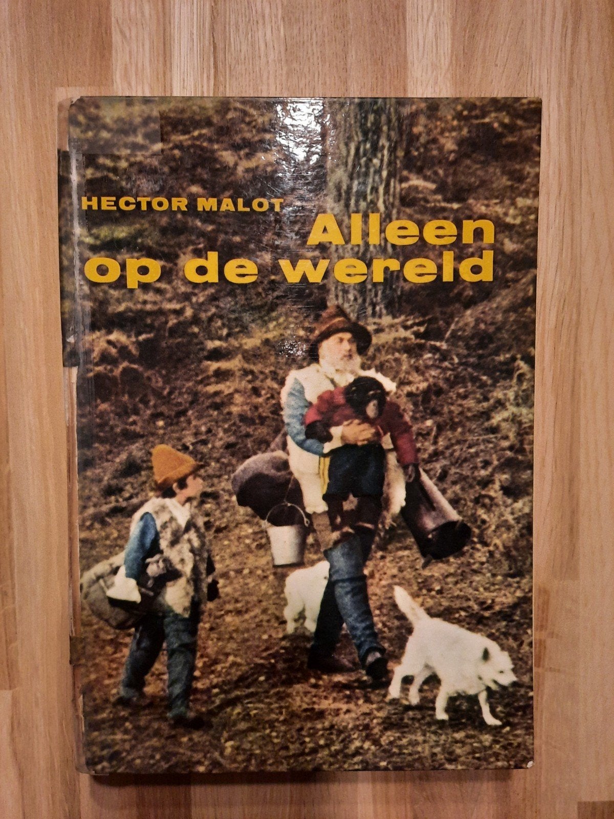 Alleen op de wereld - Hector Malot (Vintage Boek), Boeken, Ophalen of Verzenden, Gelezen, Hector Malot