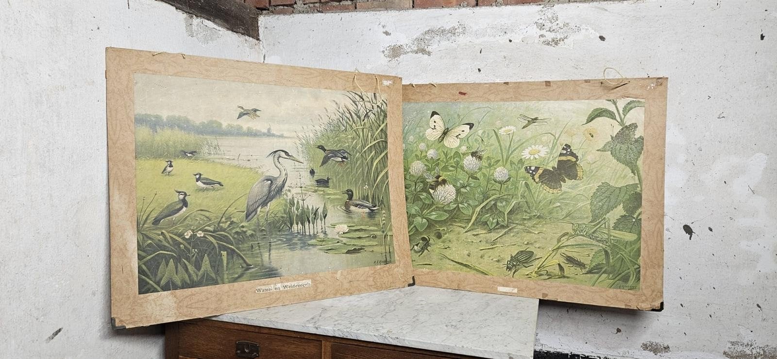 2 oude schoolplaten (natuur), Antiek en Kunst, Antiek | Schoolplaten, Ophalen, Natuur en Biologie