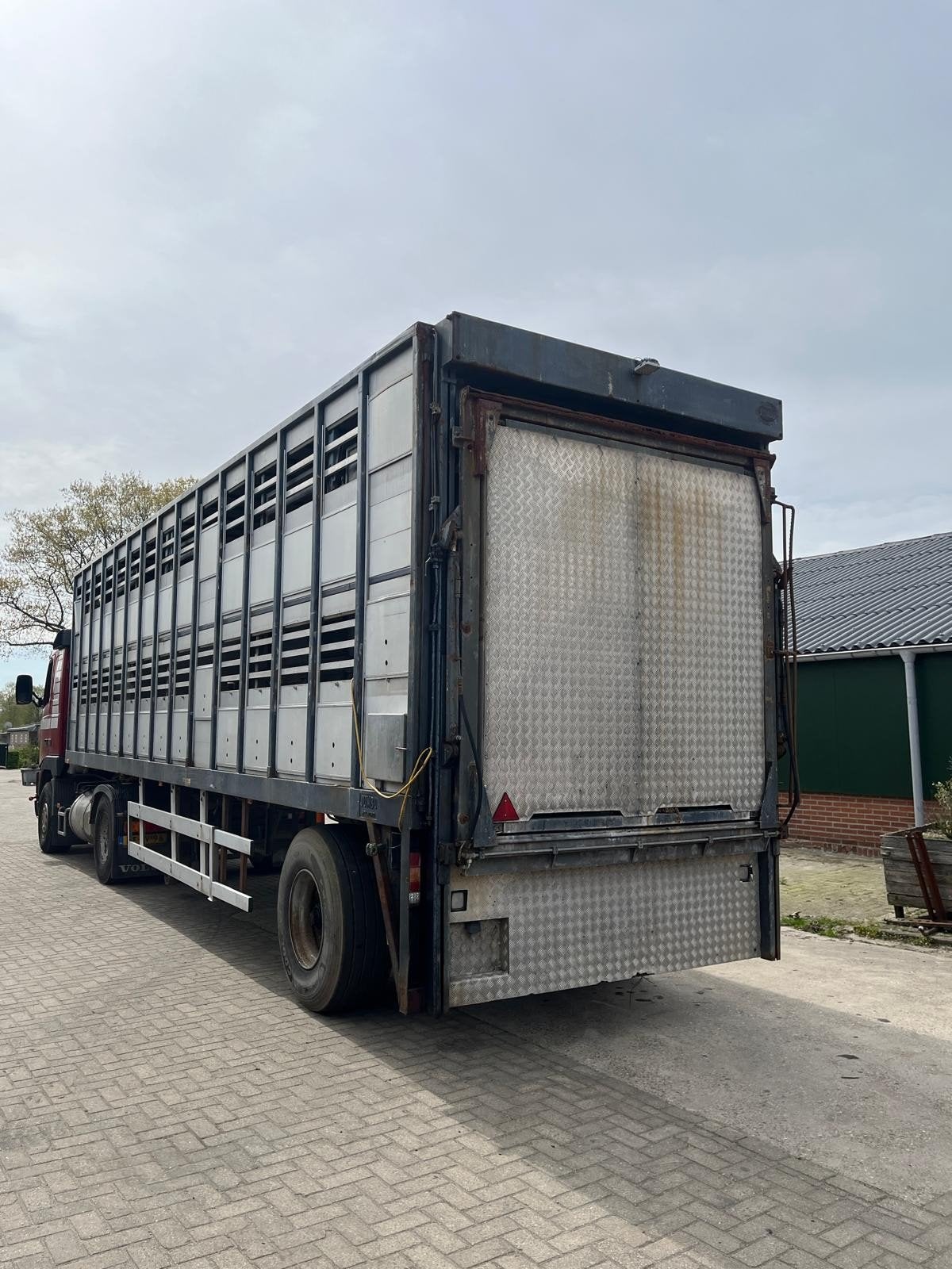 veeoplegger/veewagen, Meerdere dieren, Schaap