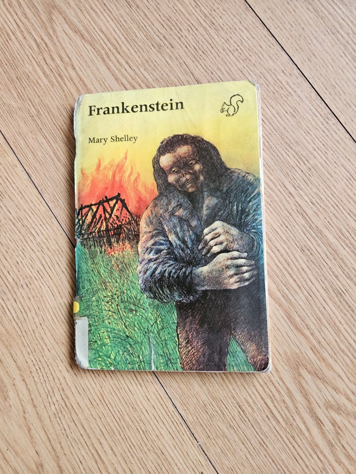 Frankenstein van Mary Shelly, Ophalen of Verzenden, Gelezen