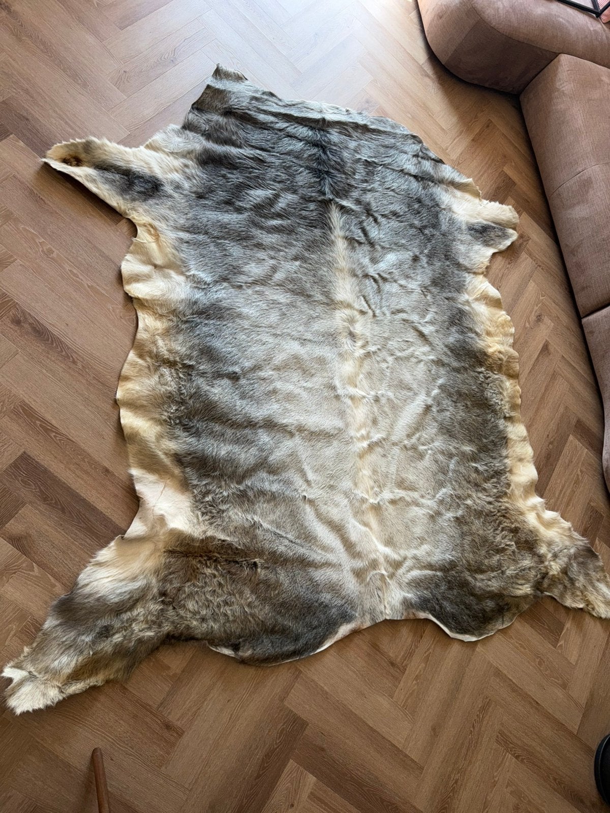 Echte XXL Koeienhuid | 260 x 235 cm, Ophalen, Gebruikt