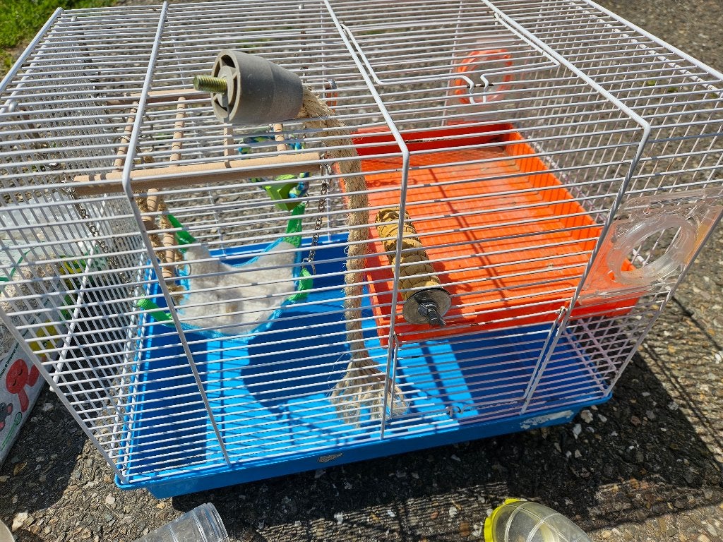 Hamsterkooien met toebehoren, Dieren en Toebehoren, Kooi, Gebruikt, Rat, 75 tot 110 cm
