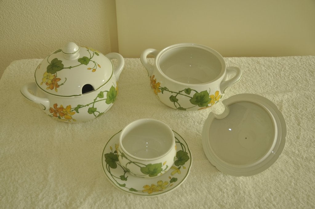 Villeroy en Boch Geranium soepterrines en juskom, Ophalen, Gebruikt, Villeroy & Boch, Schaal of Schalen