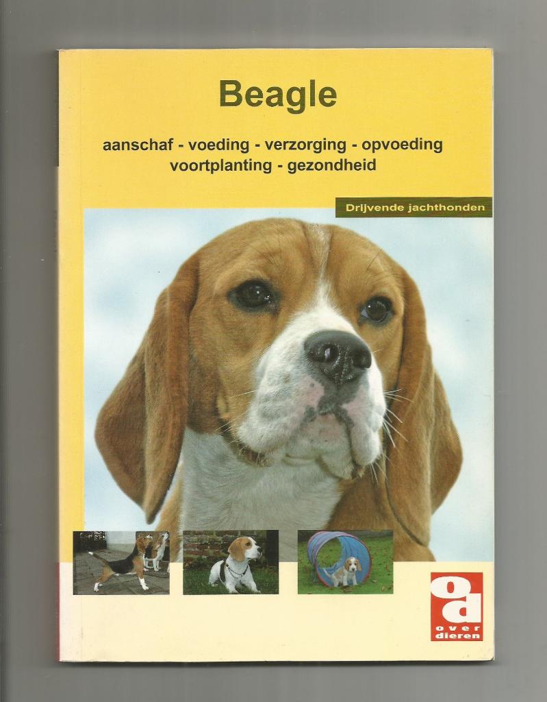Beagle, Ophalen of Verzenden, Zo goed als nieuw, Honden