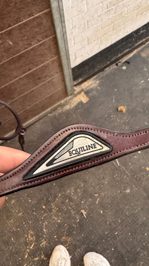 Equiline hoofdstel, Ophalen of Verzenden, Zo goed als nieuw