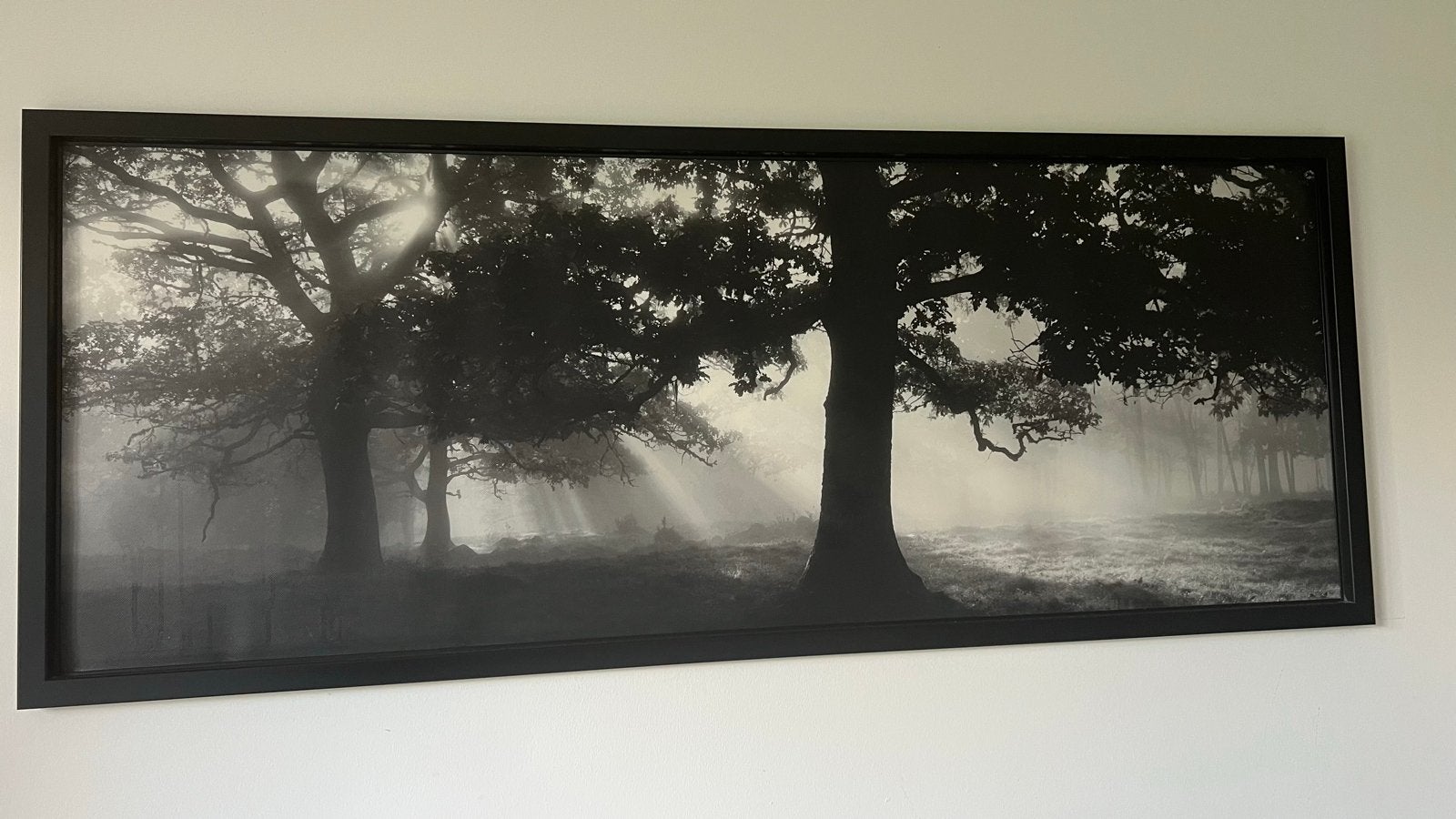 IKEA BJÖRKSTA Canvas - Mystiek Bos Zwart-Wit, Ophalen, 50 – 75, Oorspronkelijke maker, 125 cm of meer