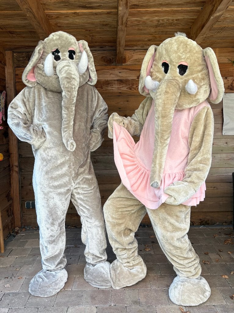 Verjaardagsfeestje? Huur deze leuke mascotte kostuums enz, Hobby en Vrije tijd, Feestartikelen | Verhuur, Ophalen of Verzenden