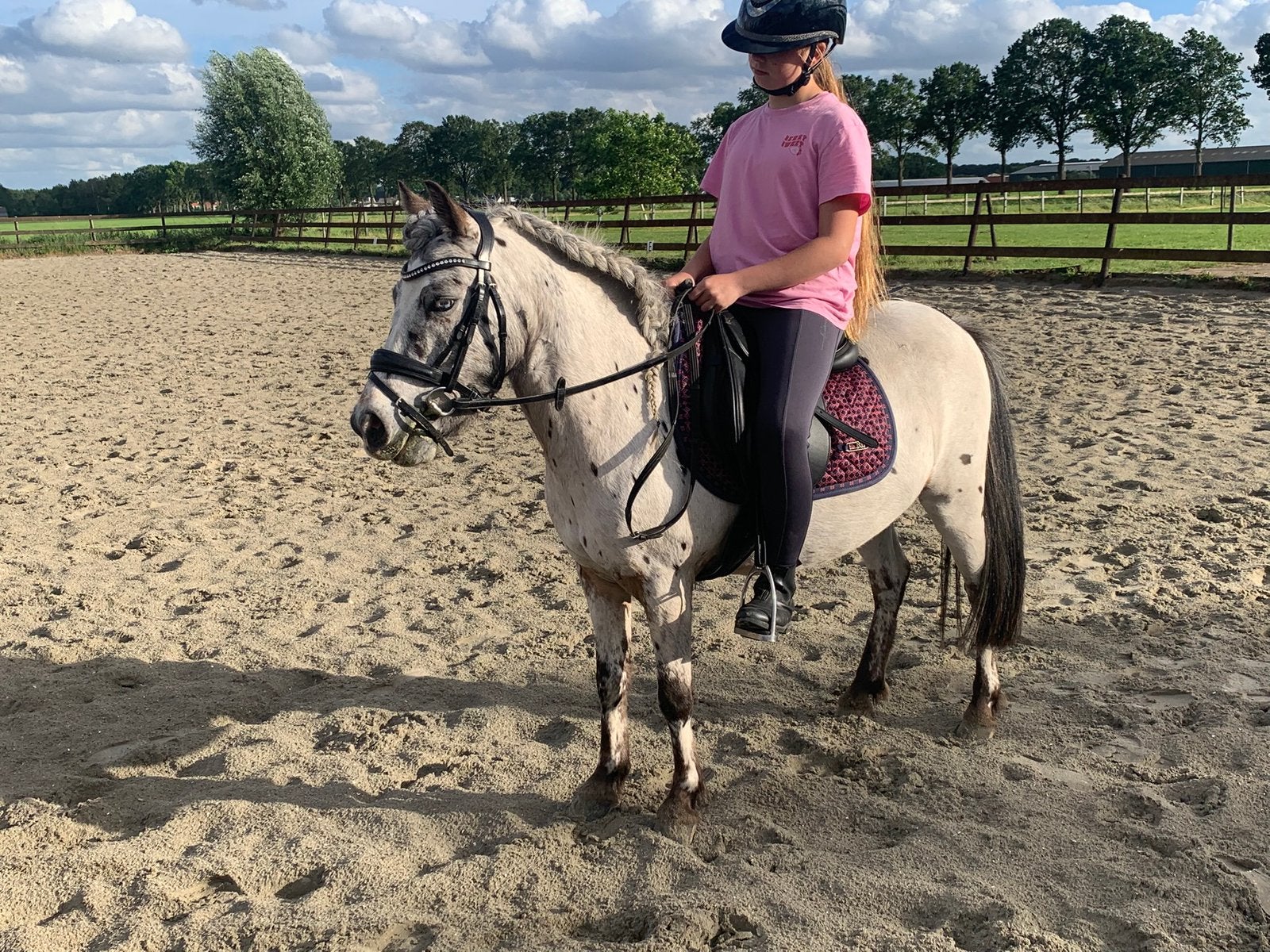 A bixie pony ruin 5 jaar Appeloosa 💓, Dieren en Toebehoren, Pony's, Ruin, B, A pony (tot 1.17m), Recreatiepony, 3 tot 6 jaar