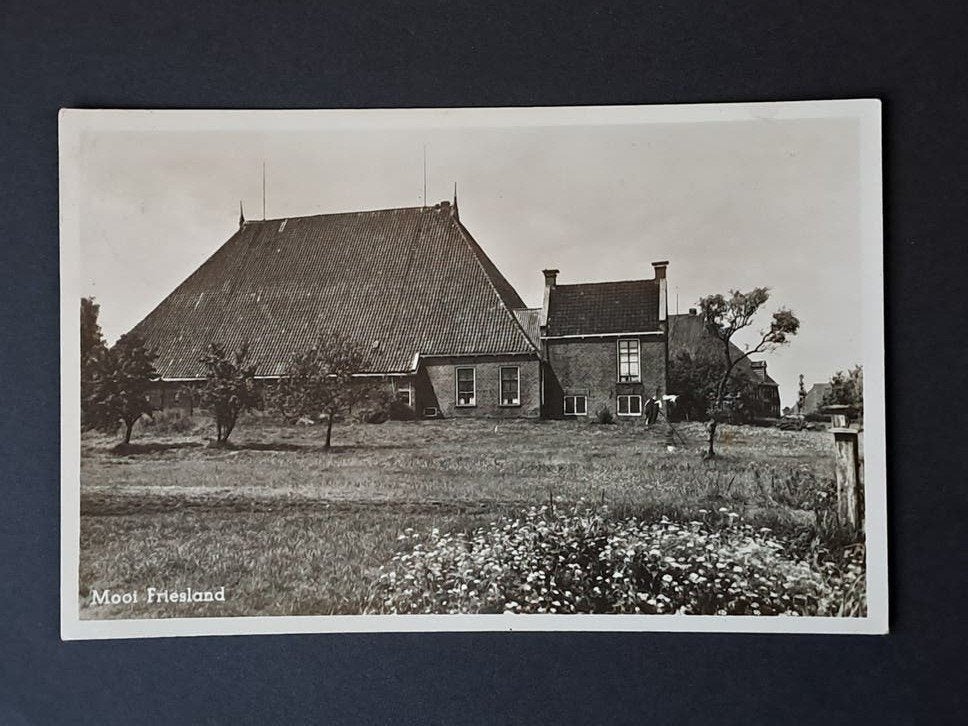 Boerenleven 5 Friesland Boerderij, Verzenden, 1940 tot 1960, Gelopen, Friesland