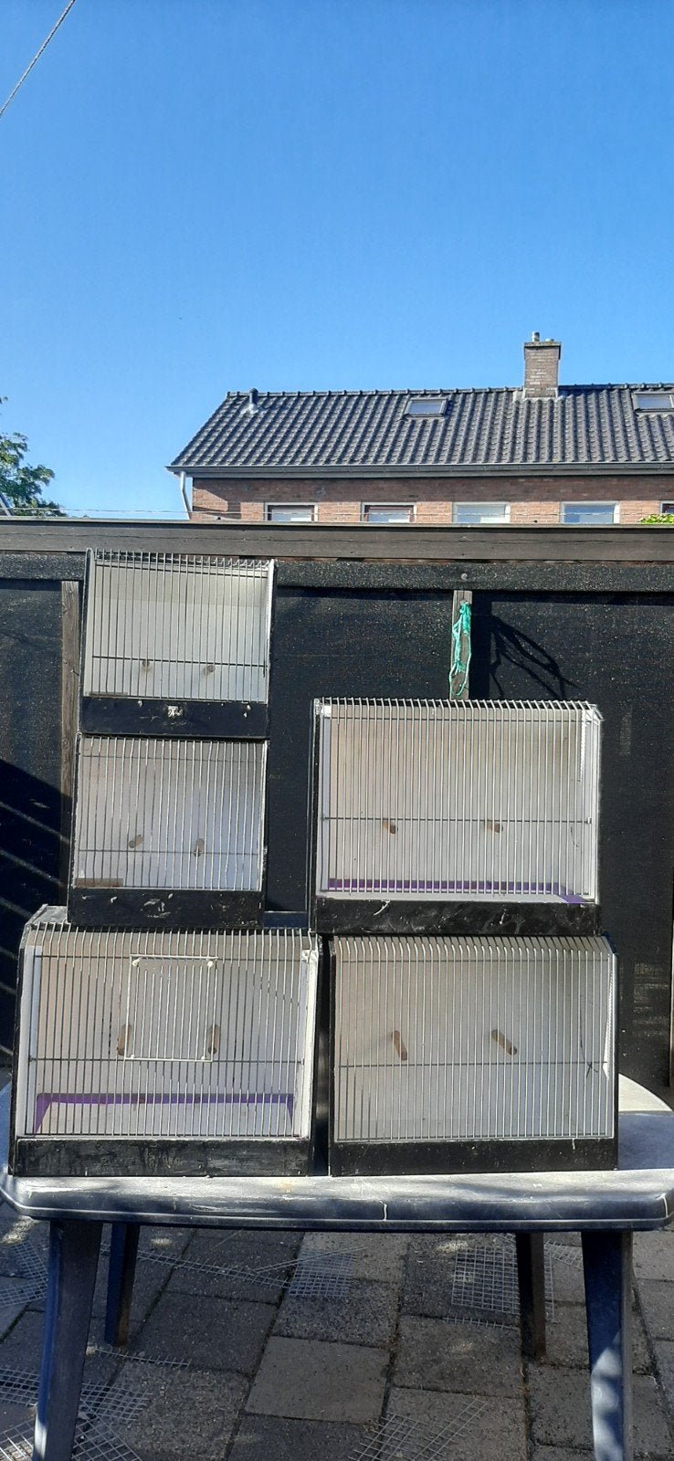 🌹4 TT kooitjes nette staat, Dieren en Toebehoren, Vogels | Hokken en Kooien, Ophalen of Verzenden, Nieuw, Hout, Overige typen