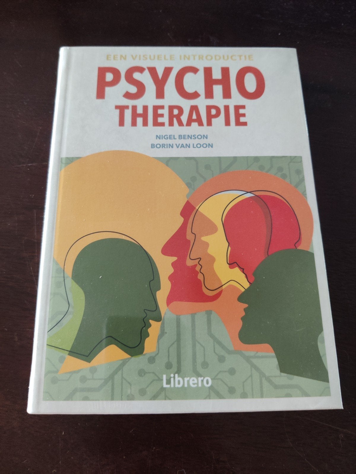 Psycho Therapie: Een Visuele Introductie, Ophalen of Verzenden, Nieuw, Klinische psychologie, Nigel Benson, Borin van Loon